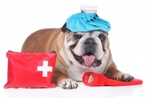 BESNİ-ADIYAMAN Acil Müdahaleler ve Acil Servis